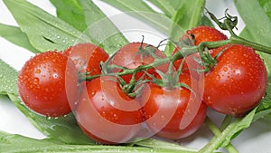 Beautiful natural vegetables tomatoes on a branch on Green wild garlic