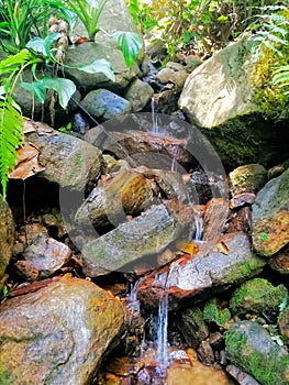 Beautiful Natural waterfall in jungle srilanka