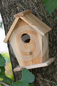 Beautiful natural wooden birdhouse in the garden