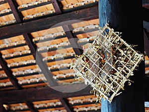 Beautiful natural woven bamboo frame contain dried leaves and flowers