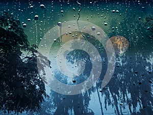 Beautiful nature abstract background image. Trees covered with fog and raindrops on glass.