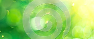 Beautiful nature abstract blurred background. Green bokeh backdrop. Summer or spring background with sun flares photo