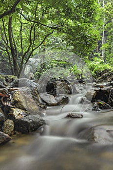 Amazing cascading tropical waterfall. wet and mossy rock, surrounded by green rain forest