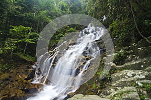 Amazing cascading tropical waterfall. wet and mossy rock, surrounded by green rain forest