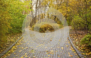 Beautiful Nature Autumn landscape. Scenery view on autumn city park with golden yellow foliage in cloudy day