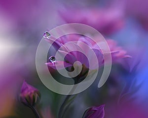 Beautiful Nature Background.Abstract Wallpaper.Celebration, love.Holidays.Artistic Flowers.Art Design.Spring Flower.Violet Colors.