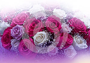 Beautiful Nature Background.Abstract Wallpaper.Celebration,love.Holidays.Summer Flowers.Art Design.Red Rose Flower.Bouquet,aroma.