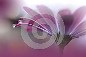 Beautiful Nature Background.Abstract Wallpaper.Celebration, love.Holidays.Summer Flowers.Art Design.Spring Flower.Violet Colors.