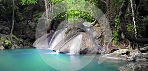 Hermoso naturaleza. cascada fluye a través de Bosque 