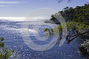 Beautiful nature of Calanques on the azure coast of France