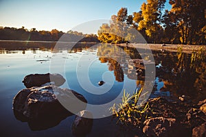 Yellow and green autumn trees on background of the sky and river on a sunny day