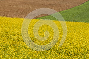 Beautiful nature colors in the Pannonia Plain