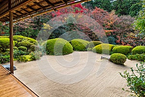 Beautiful nature colourful tree leaves in Japanese zen garden