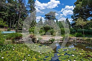 Beautiful nature in Crimea - a pond with water lilies in the park
