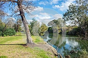 Beautiful nature environment at the riverbank of Werribee River.  View of a suburban local park with Australian nature landscape