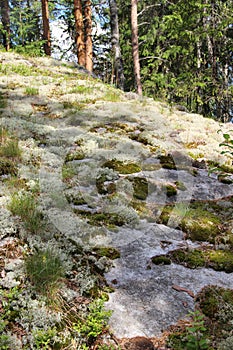 Beautiful nature of Finland, Koli