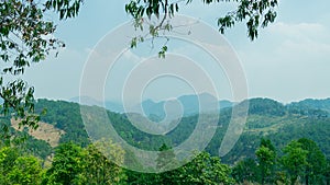 A beautiful nature forest with mountains and skies with trees full