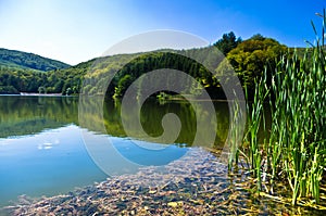 Beautiful nature and greenery at the lake in Semenic national park, Banat region