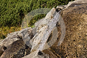 Nature of High Tatras mountains. Slovakia