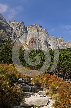 Nature of High Tatras mountains. Slovakia