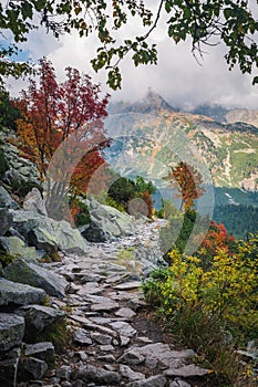 Beautiful nature in High Tatras. Turistic trail and colorful nature. Hiking photo. Nature wallpaper