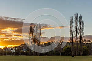 Sunset, sun setting behind trees countryside, grassland