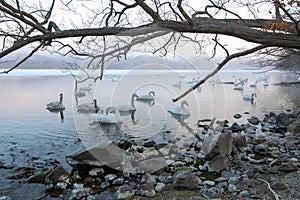 The beautiful nature of Lake Kussharo in winter.