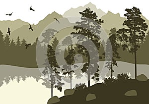 Beautiful nature, landscape. Forest and lake with flying birds on background of mountains. Silhouettes of pines and fir trees.