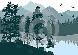 Beautiful nature, landscape. Forest and lake with flying birds on background of mountains. Silhouettes of pines and fir trees.