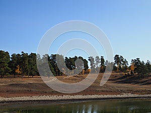 Beautiful nature landscape green forest of pine tree reflect on the water surface, lake backwater at dawn peaceful