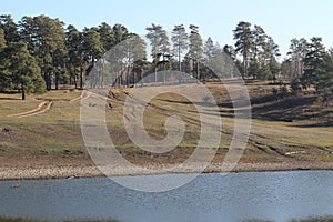 Beautiful nature landscape green forest of pine tree reflect on the water surface, lake backwater at dawn peaceful