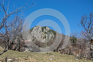 Beautiful mountain with cliffs and trees, forest, clear blue sky, Smolyan, Bulgaria, nature concept photo