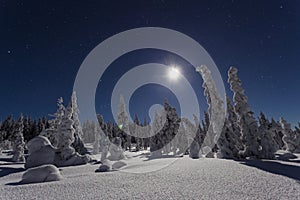 Beautiful nature and landscape photo of Sweden Scandinavia at cold winter night