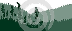 Beautiful nature landscape, silhouette of pines, spruce trees on background of  wild forest on mountains . Vector illustration