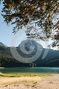 Beautiful nature mountain lake, mountains, forest. In the foreground are tree branches.