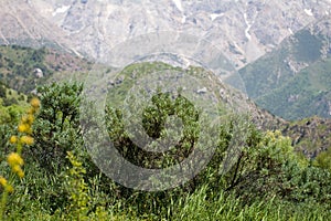 Beautiful nature. Mountains in Kazakhstan