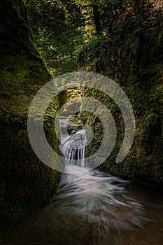 The beautiful nature in the Mullerthal region of Luxembourg