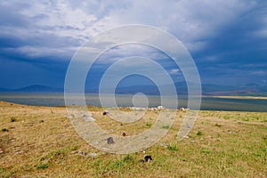 Beautiful nature at Paravani Lake in Samtskhe-Javakheti National Park, Georgia.