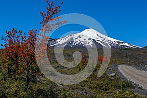 The beautiful nature of Patagonia forests the volcano of the river and lake through the sunset