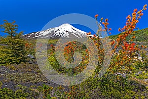 The beautiful nature of Patagonia forests the volcano of the river and lake through the sunset