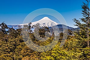 The beautiful nature of Patagonia forests the volcano of the river and lake through the sunset