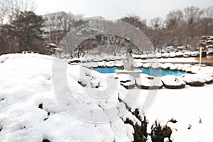 Beautiful nature photography snow in Seoul Park kyung hee university south korea