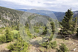 Beautiful nature place called Labska bouda, amazing scenery, nature in early spring, snow and greenery