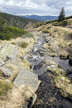 Beautiful nature place called Labska bouda, amazing scenery, nature in early spring, snow and greenery