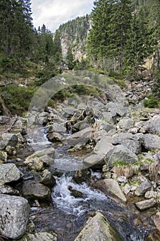 Beautiful nature place called Labska bouda, amazing scenery, nature in early spring, wild mountain stream