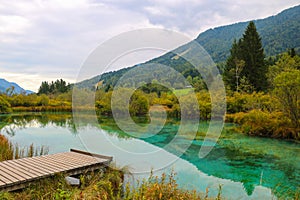Beautiful nature reserve lake Zelenci in Slovenia