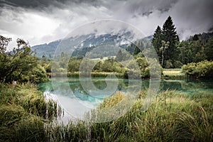 Beautiful nature reserve lake Zelenci in summer time, Slovenia