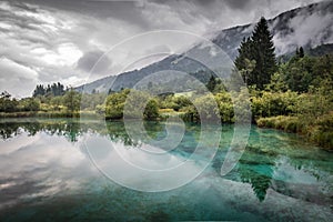 Beautiful nature reserve lake Zelenci in summer time, Slovenia