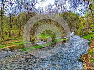 Beautiful nature. River and forest. Landskape. Background.