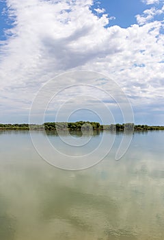 Beautiful nature on the river Syr Darya. Kazakhstan